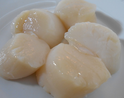 photo fresh scallops for hotate appetizer, sushi menu 